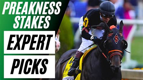 preakness handicapping|Preakness Stakes Expert Picks .
